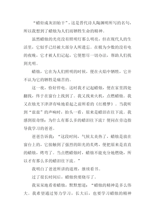 什么的启示作文300字.docx