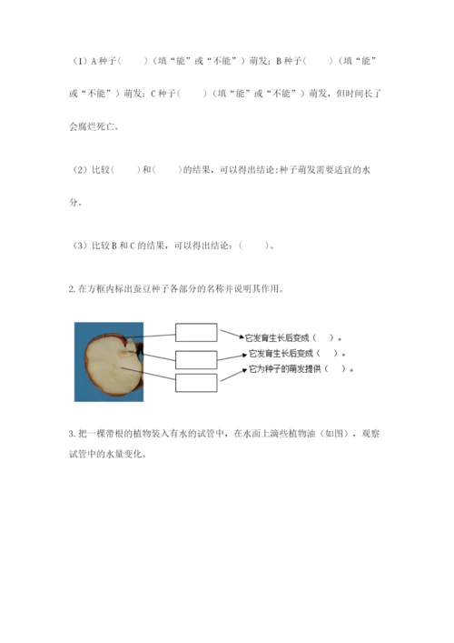 科学四年级下册第一单元《植物的生长变化》测试卷1套.docx