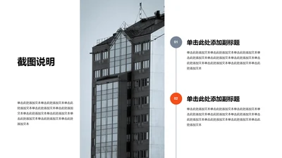 单色扁平2项截图说明