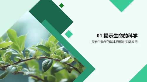 生命奥秘：解密生物学