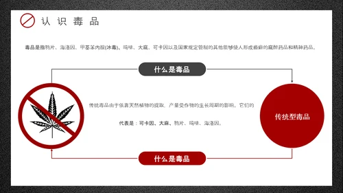 珍爱生命远离犯罪国际禁毒日PPT模板