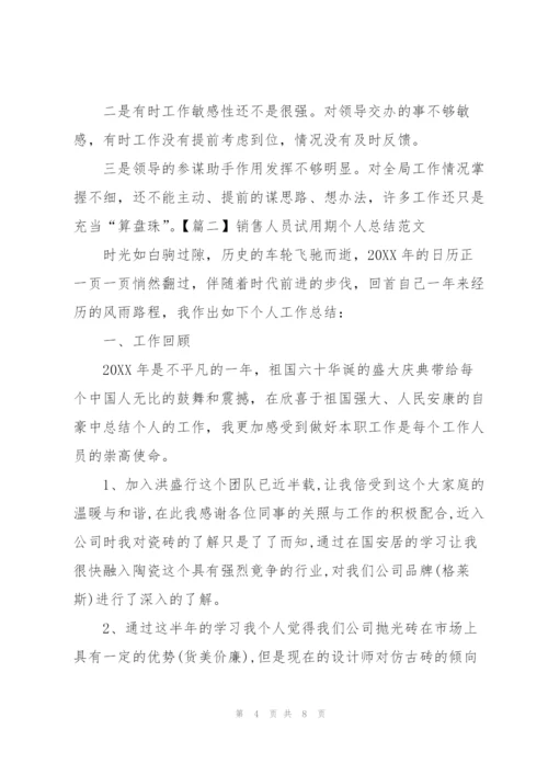 销售人员试用期个人总结范文.docx