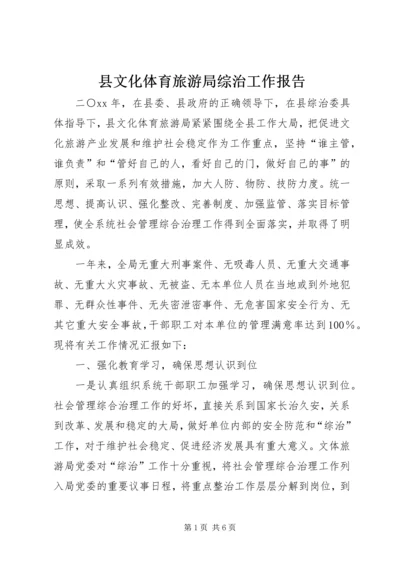 县文化体育旅游局综治工作报告.docx