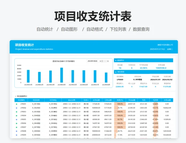 项目收支明细统计表