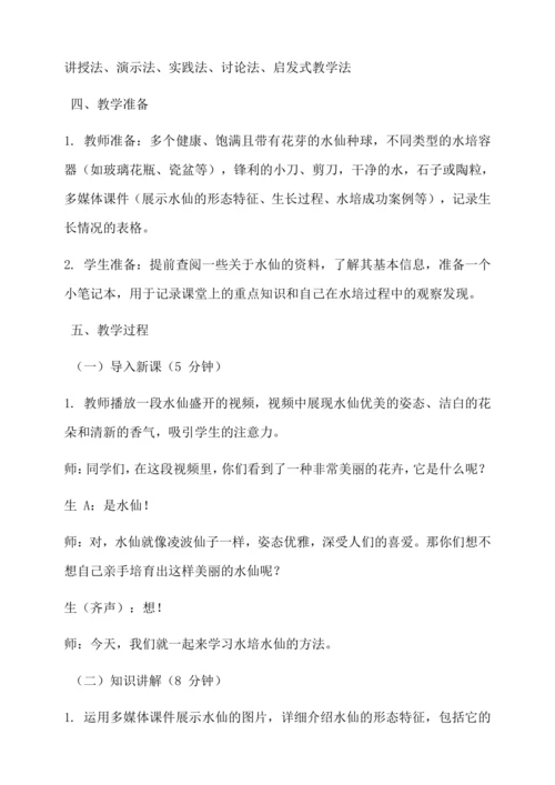 水培水仙 教学设计--人教版劳动四上