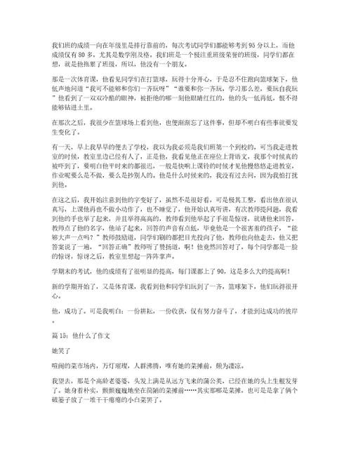 他什么了作文
