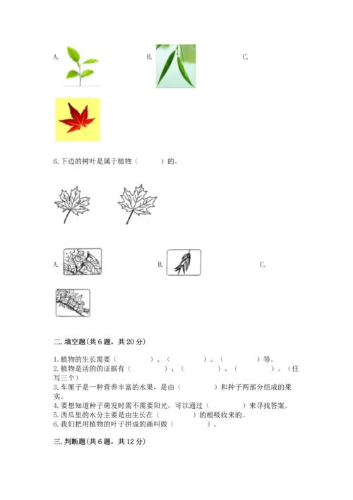 教科版科学一年级上册第一单元《植物》测试卷（典型题）.docx