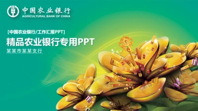 农业银行工作汇报通用PPT模板