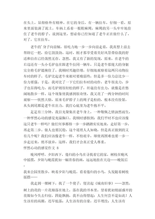 怦然心动的感觉作文