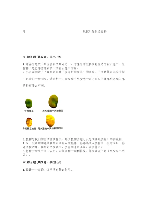 教科版科学四年级下册第一单元《植物的生长变化》测试卷【真题汇编】.docx