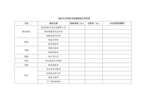 发电厂技术监督工作总结及工作计划.docx