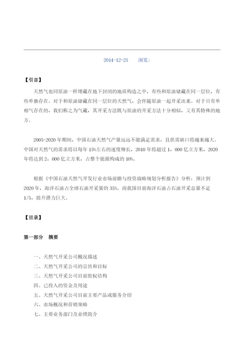 天然气开采项目融资商业计划书模板.docx