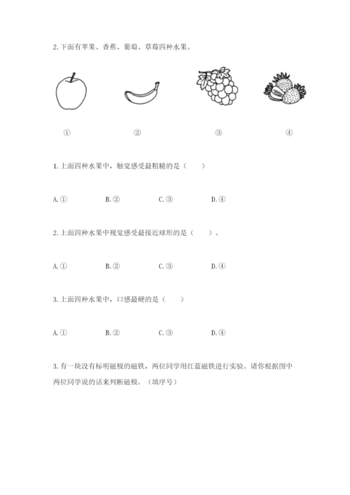 教科版二年级下册科学知识点期末测试卷（重点）.docx
