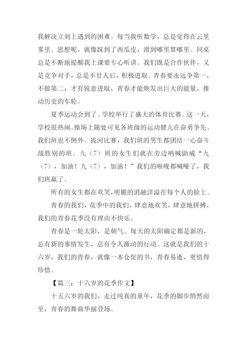 十六岁的花季作文记叙文.docx