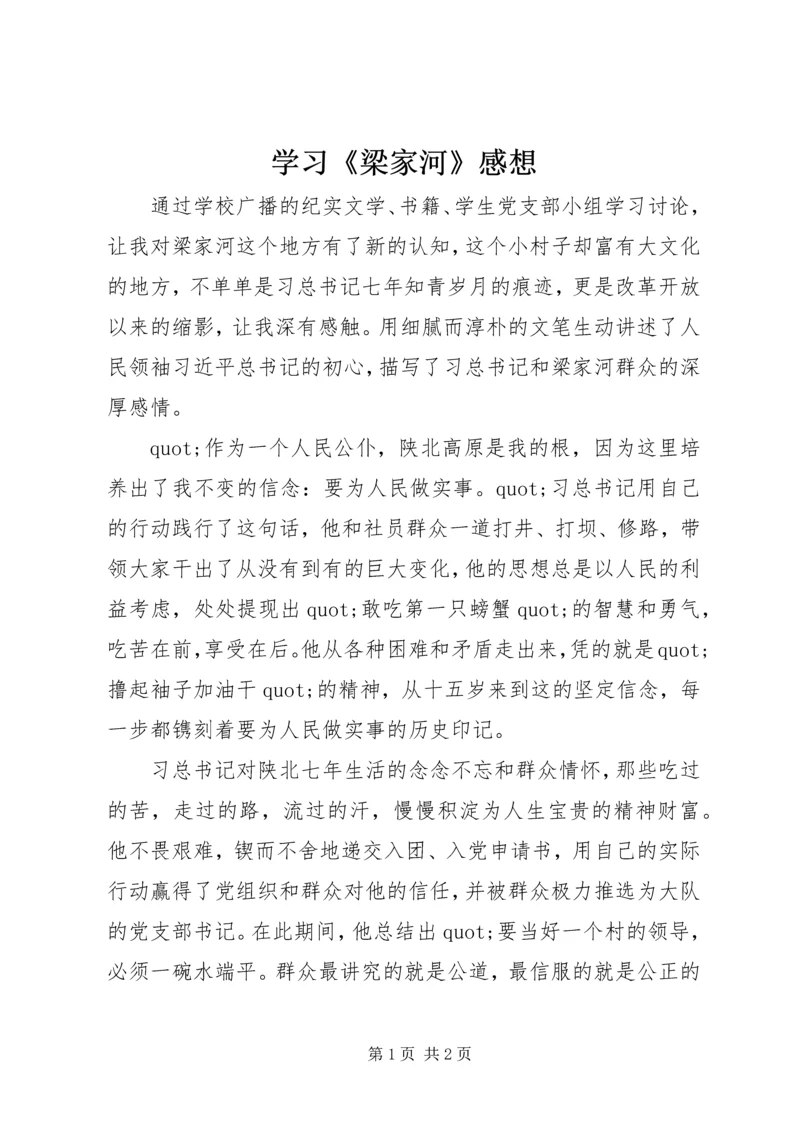 学习《梁家河》感想.docx