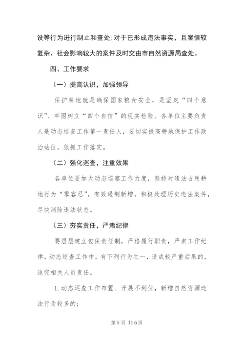 自然资源执法监察动态巡查工作方案.docx