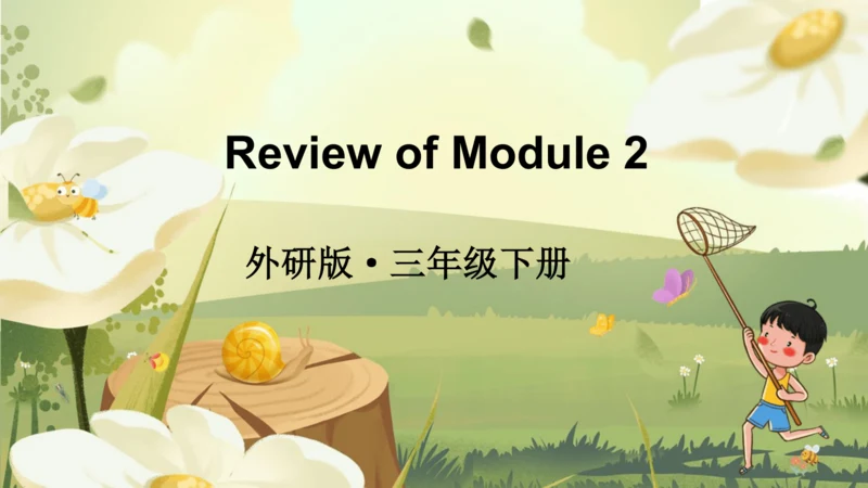 外研版三起三年级下册Review of Module 2课件（共39张PPT)