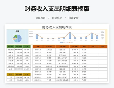 财务收入支出明细表模版