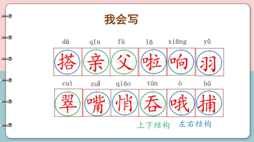 第15课《搭船的鸟》（第一课时）课件