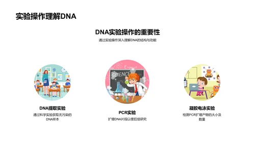 DNA复制高中教学