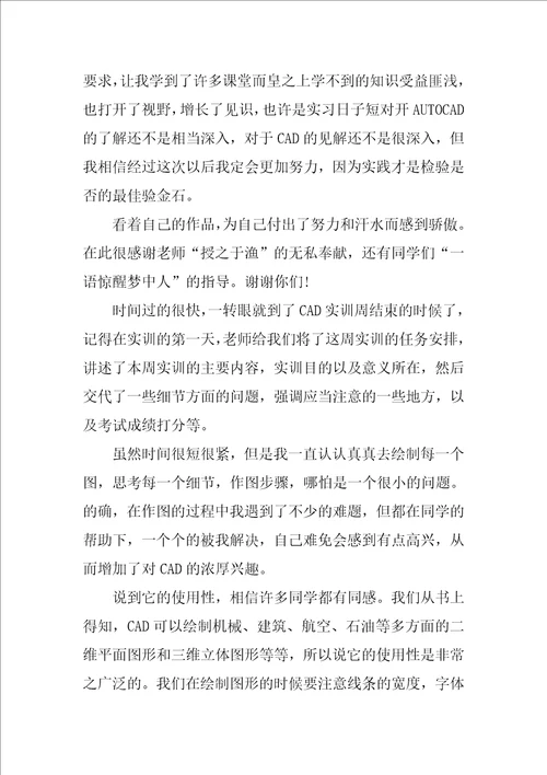 cad制图实习报告2篇