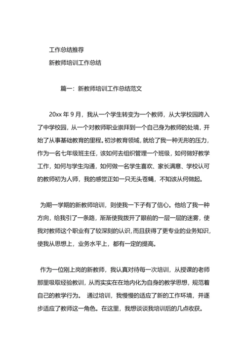 初中新教师校本培训工作总结.docx