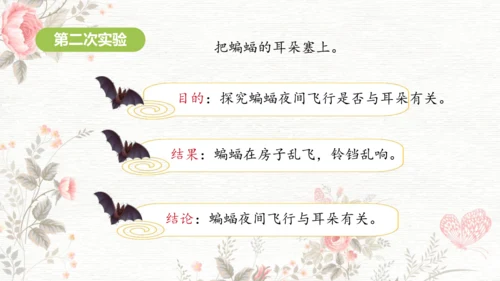 6夜间飞行的秘密  课件