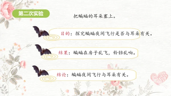 6夜间飞行的秘密  课件