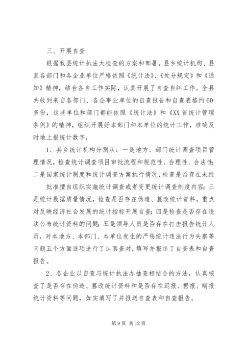 统计执法大检查工作计划.docx