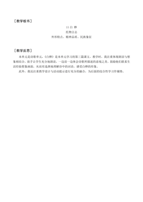 统编版四下11 白桦（教案含反思）