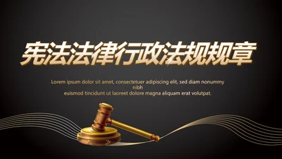 深入学习宣传法治宪法法律行政法规规章PPT