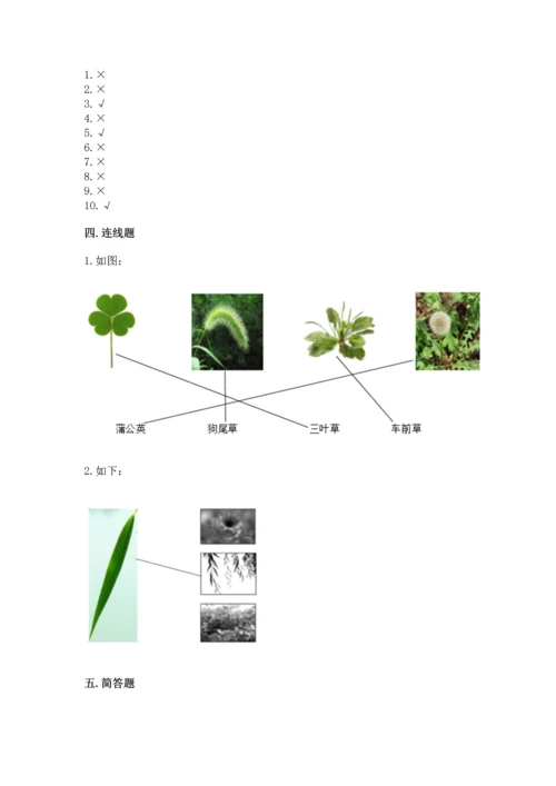 教科版一年级上册科学期末测试卷附答案（夺分金卷）.docx