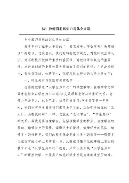 初中教师岗前培训心得体会5篇.docx