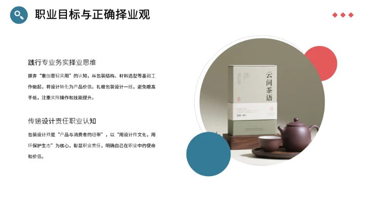 视觉传达与设计专业大学生求职综合能力展示职业生涯规划PPT