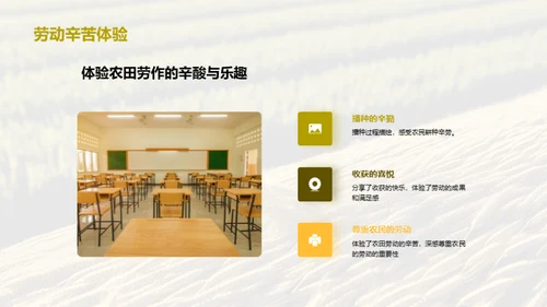 农业劳动之美