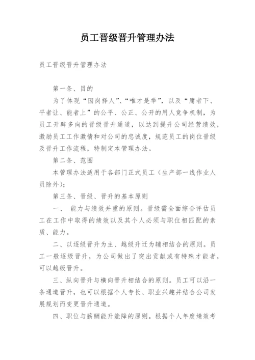 员工晋级晋升管理办法.docx