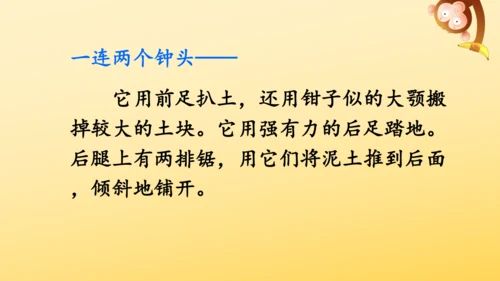 11 蟋蟀的住宅  课件