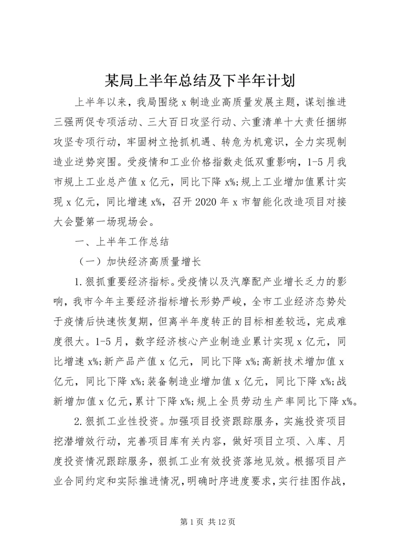 某局上半年总结及下半年计划.docx