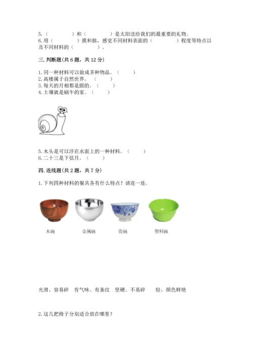 教科版科学二年级上册《期末测试卷》新版.docx