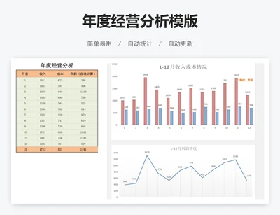 年度经营分析模版