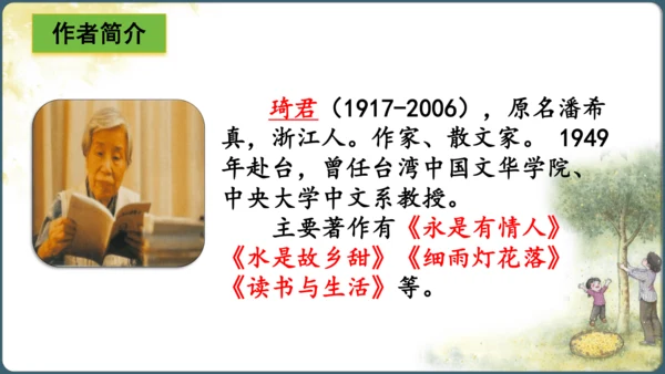 3.桂花雨  课件