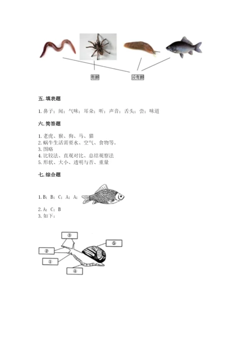 教科版一年级下册科学期末测试卷附参考答案（培优b卷）.docx