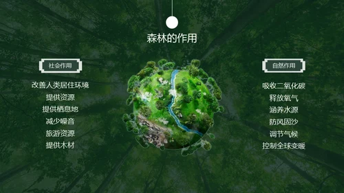 植树节认识森林保护森林主题教育通用PPT模板