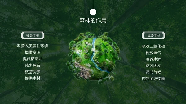 植树节认识森林保护森林主题教育通用PPT模板