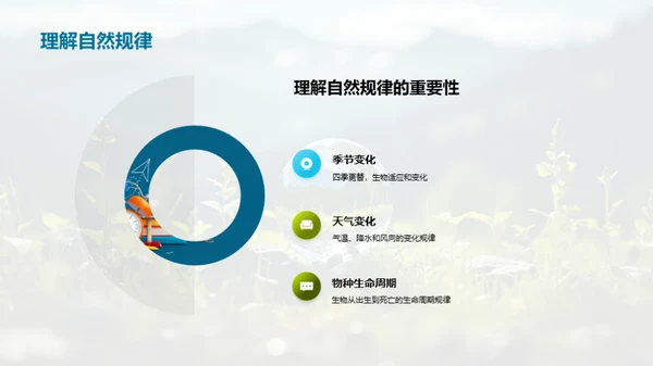 探秘生态环境