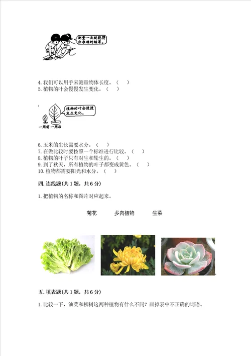 教科版科学一年级上册期末测试卷附参考答案培优b卷