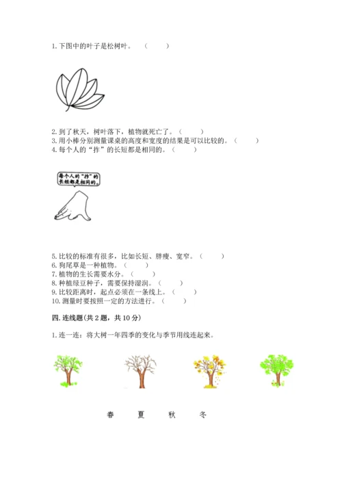 教科版一年级上册科学期末测试卷及答案（最新）.docx
