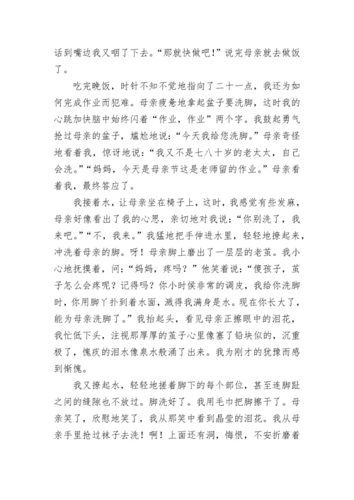 2023社会实践报告范文.docx