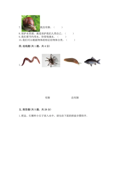 教科版一年级下册科学期末测试卷（综合卷）.docx