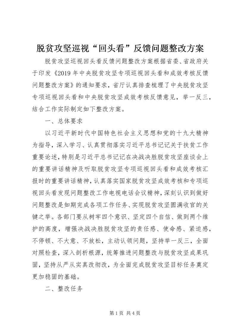 脱贫攻坚巡视“回头看”反馈问题整改方案.docx